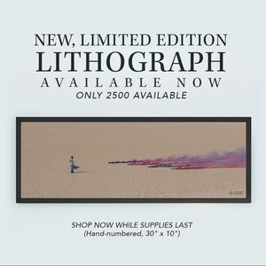 Reputation Stadium Tour Lithograph #2 ISO